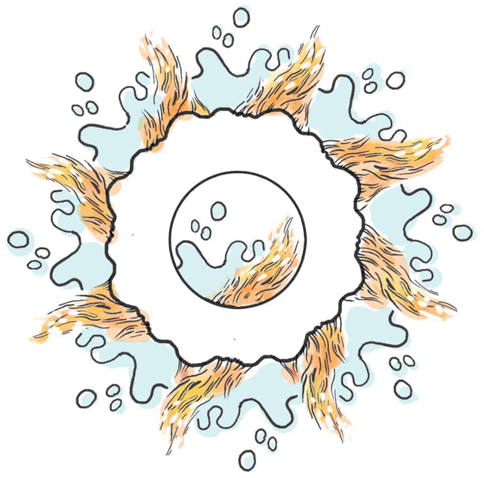 dosha pitta mandala