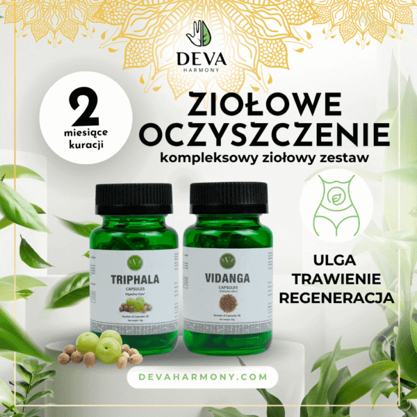 Ziołowe Oczyszczenie: Vidanga + Triphala